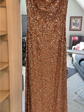 Adrianna Papell Rose Gold Sequin Evening Gown